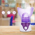 Facial Steamer